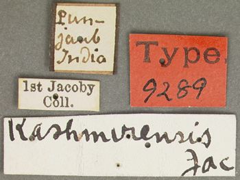 Media type: image;   Entomology 9289 Aspect: labels